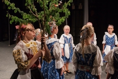 ZOS SENICA_DFS SKALICA 2015_174