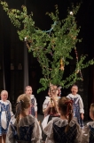 ZOS SENICA_DFS SKALICA 2015_175