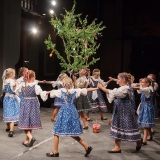 ZOS SENICA_DFS SKALICA 2015_178