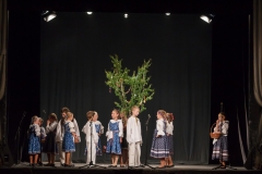 ZOS SENICA_DFS SKALICA 2015_179