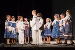 ZOS SENICA_DFS SKALICA 2015_184