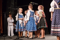 ZOS SENICA_DFS SKALICA 2015_185