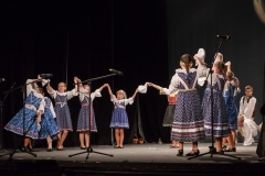 ZOS SENICA_DFS SKALICA 2015_186