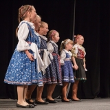 ZOS SENICA_DFS SKALICA 2015_189