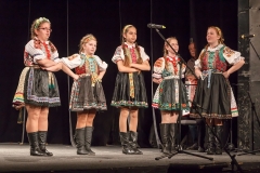 ZOS SENICA_DFS SKALICA 2015_202