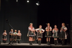 ZOS SENICA_DFS SKALICA 2015_203