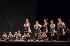 ZOS SENICA_DFS SKALICA 2015_204