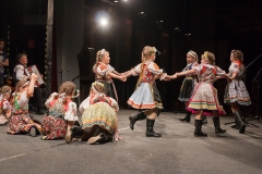 ZOS SENICA_DFS SKALICA 2015_213