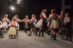 ZOS SENICA_DFS SKALICA 2015_215