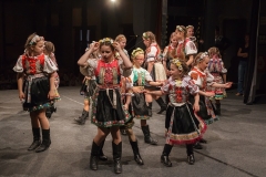 ZOS SENICA_DFS SKALICA 2015_216
