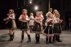 ZOS SENICA_DFS SKALICA 2015_217