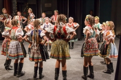 ZOS SENICA_DFS SKALICA 2015_222