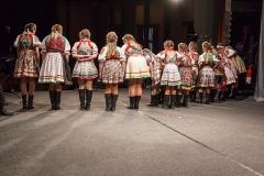 ZOS SENICA_DFS SKALICA 2015_228