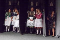 ZOS SENICA_DFS SKALICA 2015_229