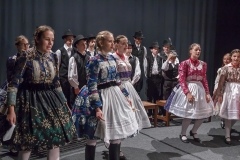 ZOS SENICA_DFS SKALICA 2015_234