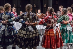 ZOS SENICA_DFS SKALICA 2015_236
