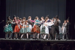 ZOS SENICA_DFS SKALICA 2015_238