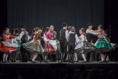 ZOS SENICA_DFS SKALICA 2015_241
