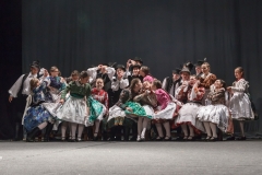 ZOS SENICA_DFS SKALICA 2015_252