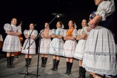 080_DLH SKALICA 2014