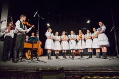 082_DLH SKALICA 2014