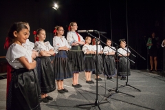 095_DLH SKALICA 2014