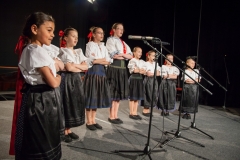 096_DLH SKALICA 2014