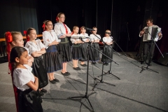 098_DLH SKALICA 2014
