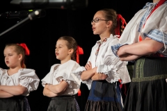 101_DLH SKALICA 2014