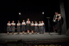 103_DLH SKALICA 2014