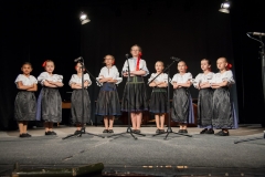 104_DLH SKALICA 2014