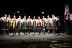 133_DLH SKALICA 2014