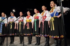 134_DLH SKALICA 2014