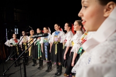 137_DLH SKALICA 2014