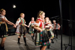 158_DLH SKALICA 2014