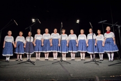 168_DLH SKALICA 2014