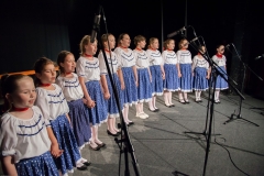 170_DLH SKALICA 2014