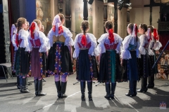 ZOS SENICA_DLH SKALICA 2016_096