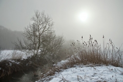 _Seligova_05