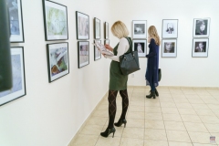 DSC05770