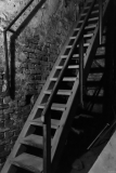 ZOS SENICA_HISTORICKY HOSTINEC KANOVE 01042016_028