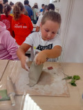 IMG_20260818_103653