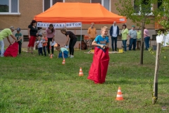 zos_kolonkari_detom_2020-15