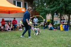 zos_kolonkari_detom_2020-62