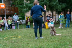 zos_kolonkari_detom_2020-63