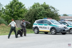 ZOS SENICA_KTO NAS CHRANI 2016_134