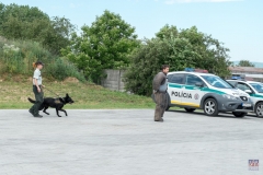 ZOS SENICA_KTO NAS CHRANI 2016_136