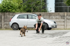 ZOS SENICA_KTO NAS CHRANI 2016_143