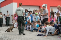 ZOS SENICA_KTO NAS CHRANI 2016_144