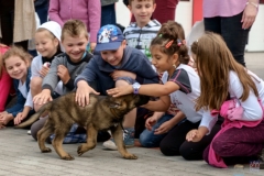 ZOS SENICA_KTO NAS CHRANI 2016_147